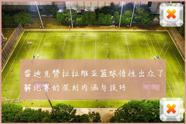 雷迪克赞拉拉维亚篮球悟性出众了解比赛的深刻内涵与技巧