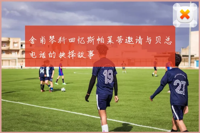 舍甫琴科回忆斯帕莱蒂邀请与贝总电话的抉择故事