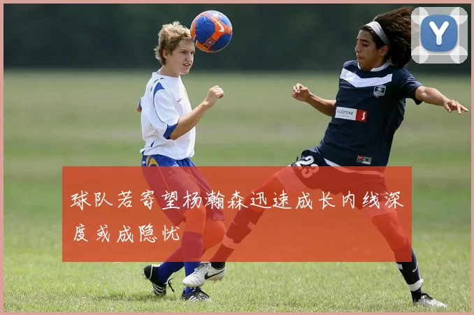 球队若寄望杨瀚森迅速成长内线深度或成隐忧